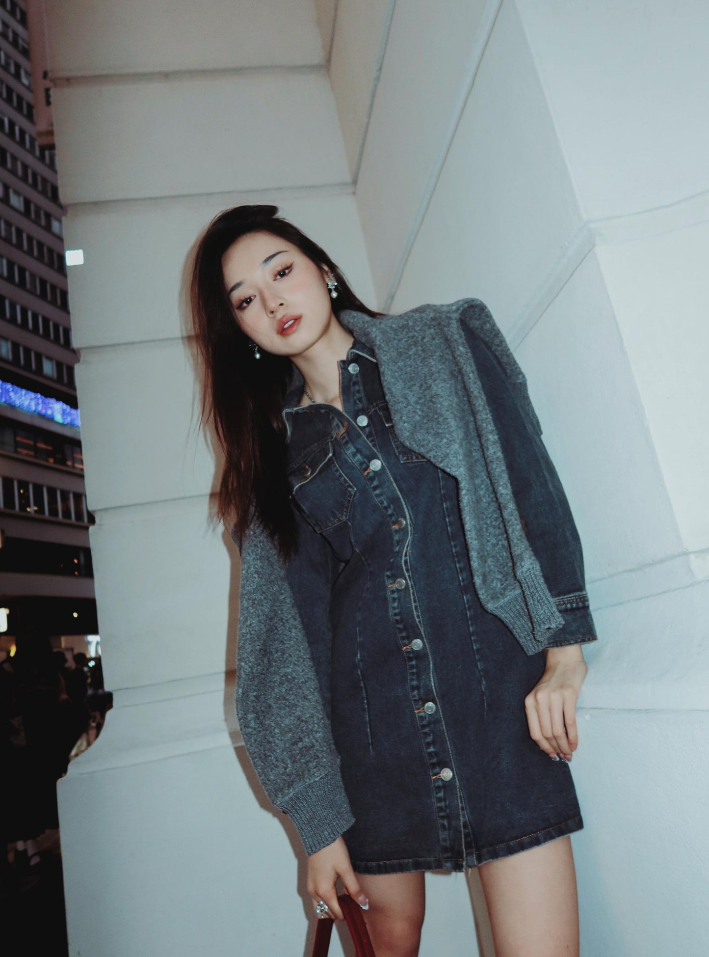 Denim Long Sleeves Dress